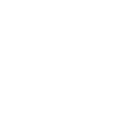 Logo-Chic-Carbunesti-alb